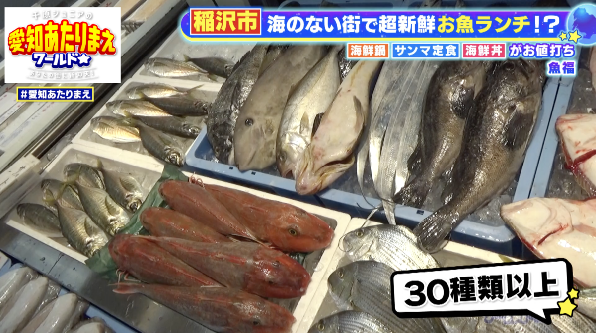 畑の中にあるとは思えない、天然物の品揃え