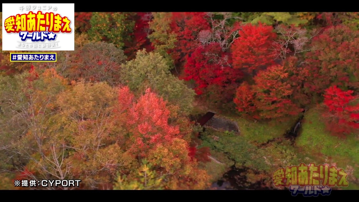 秋の稲武は、町の人たちが愛する自慢の絶景が広がる