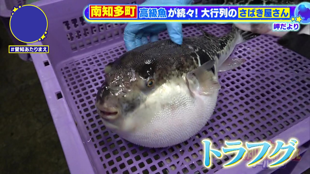 免許がないとさばけないフグもさばいてもらえる