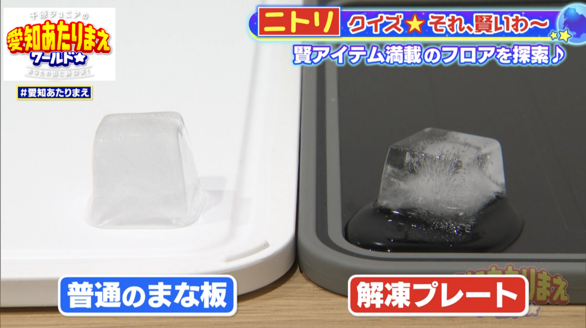 すぐに氷が解ける解凍プレート