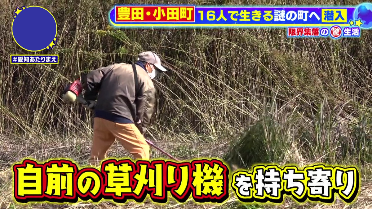 雑草も自分たちで刈り取り