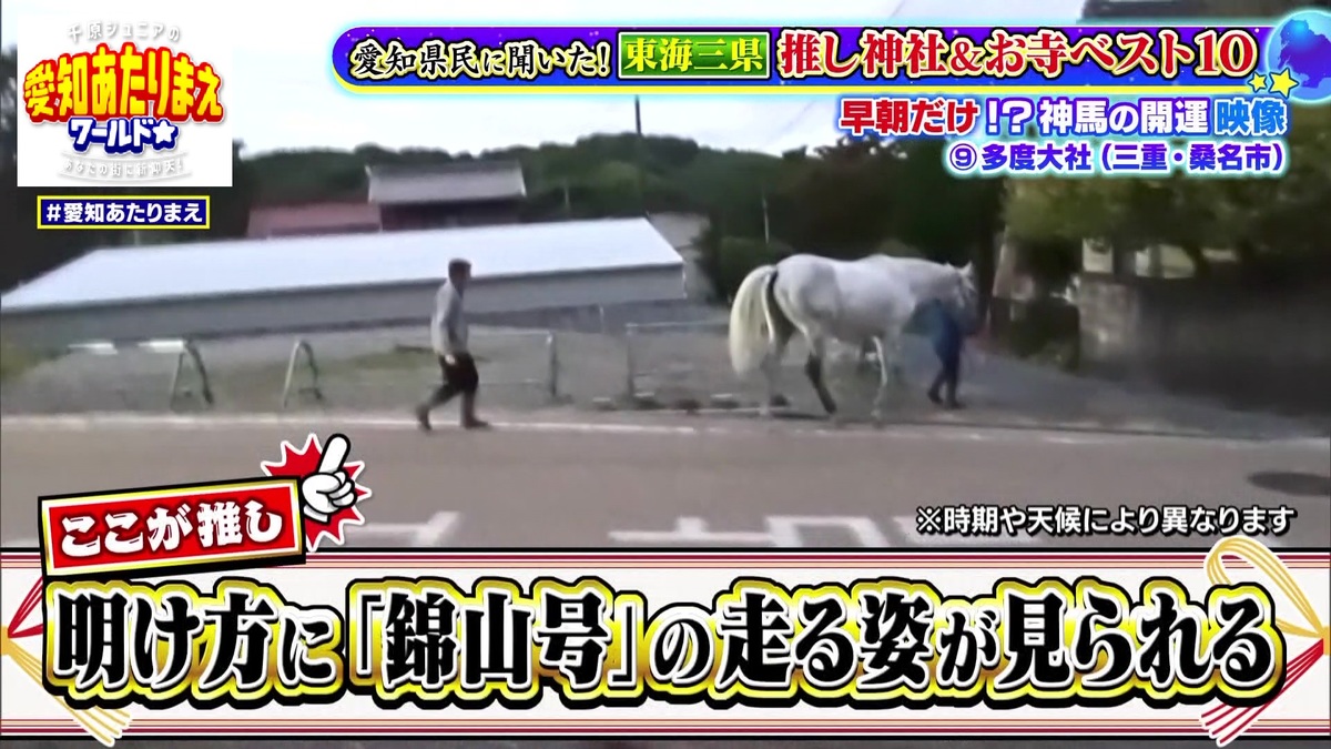 神馬「錦山号」は専用運動場で運動