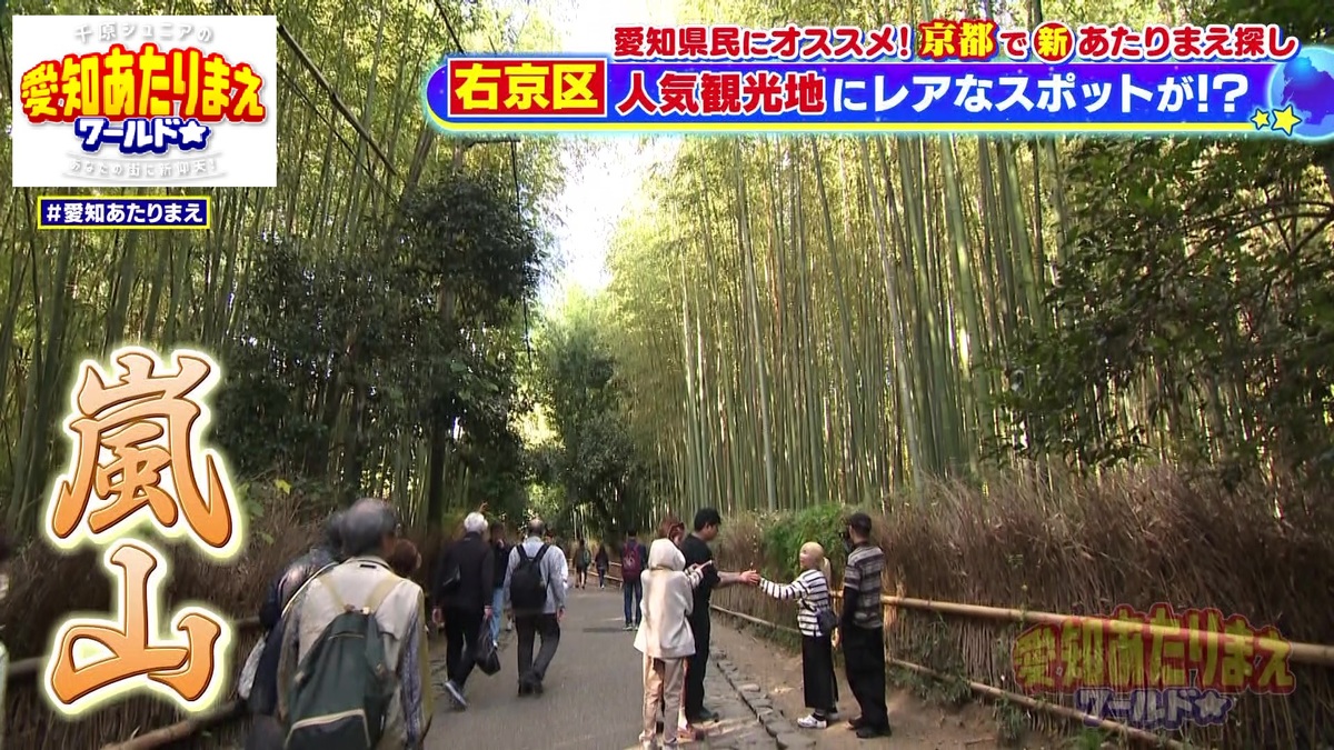 大人気観光地の1つ・嵐山