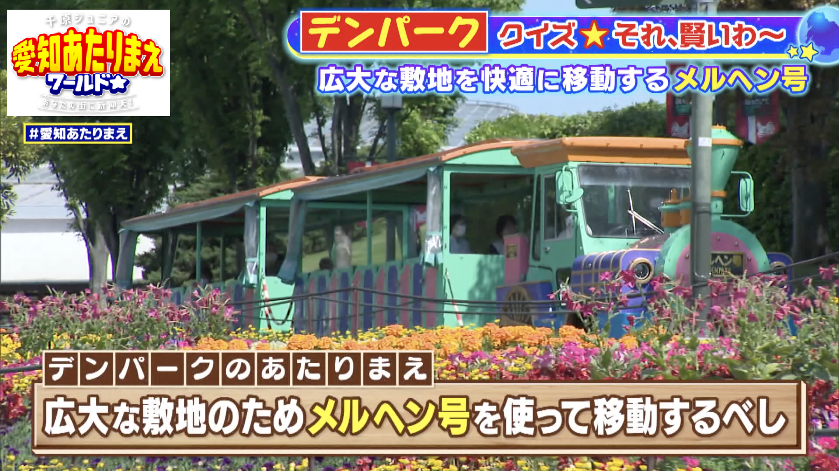 楽しみ方の工夫を知って、デンパークを満喫しよう