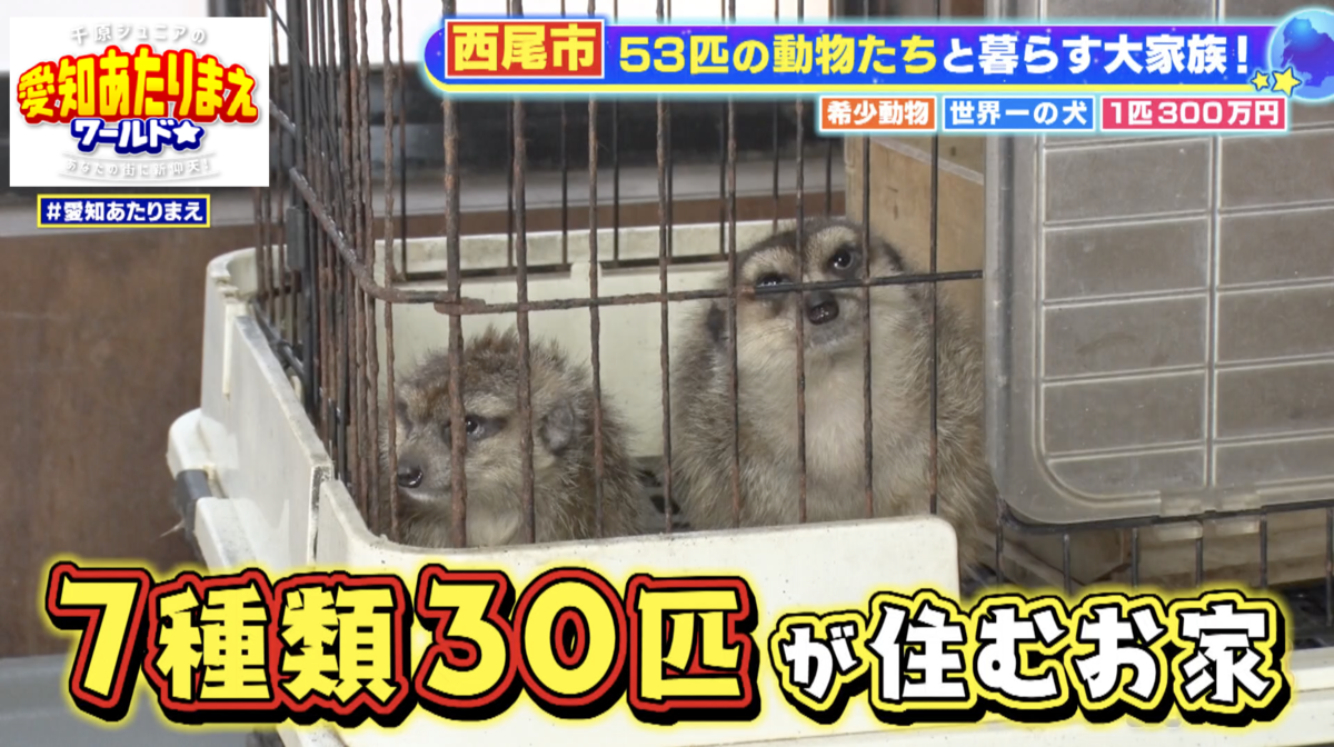 珍しい動物もたくさん暮らす車庫へ潜入