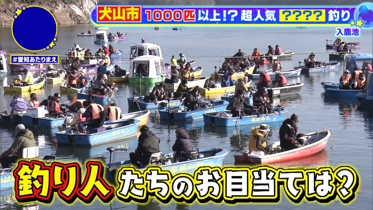 冬のシーズン、犬山市の入鹿池に人が集まる理由とは？