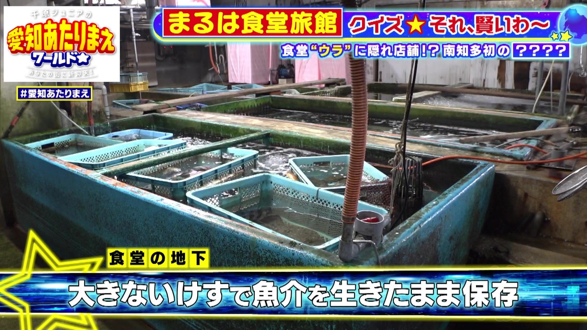 鮮度抜群の秘密は「いけす」