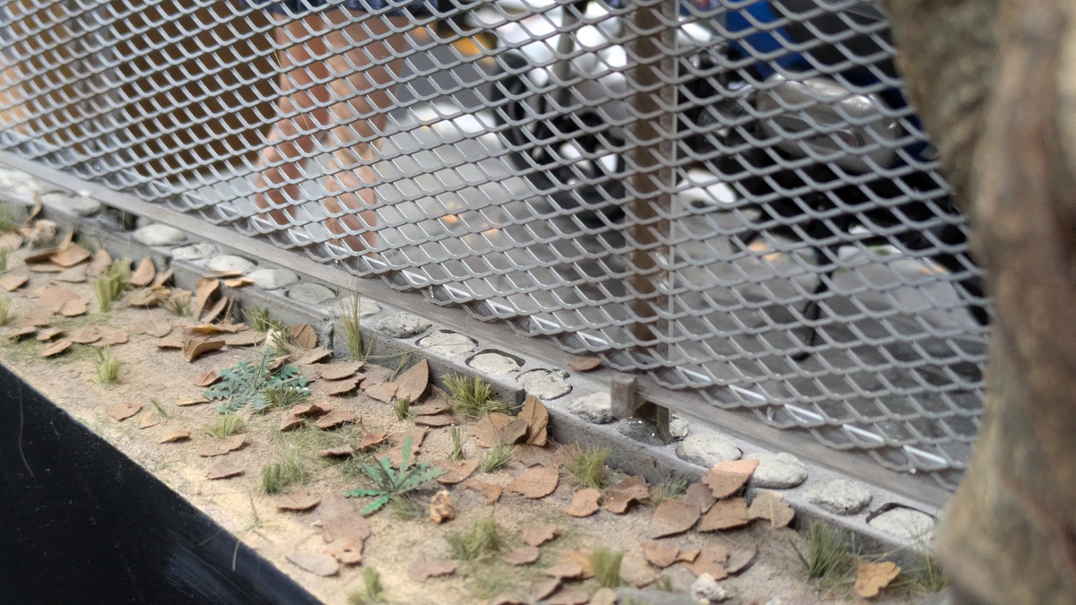 落ち葉を散らす