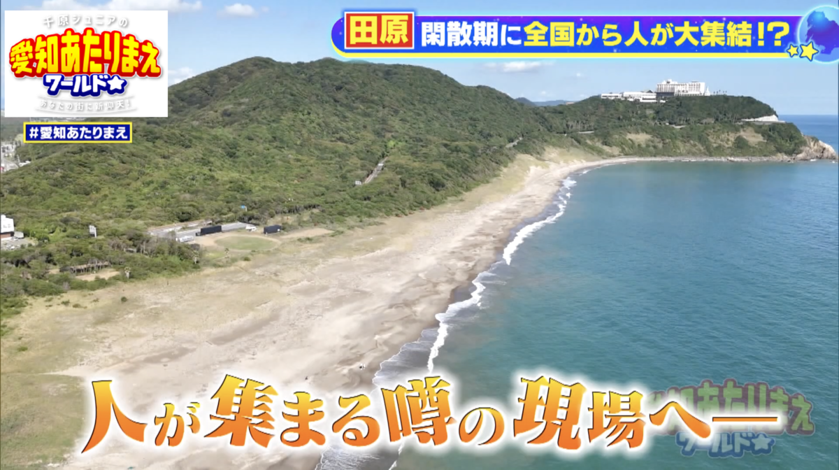 オフシーズンのはずの秋の田原に人が集まる理由とは？