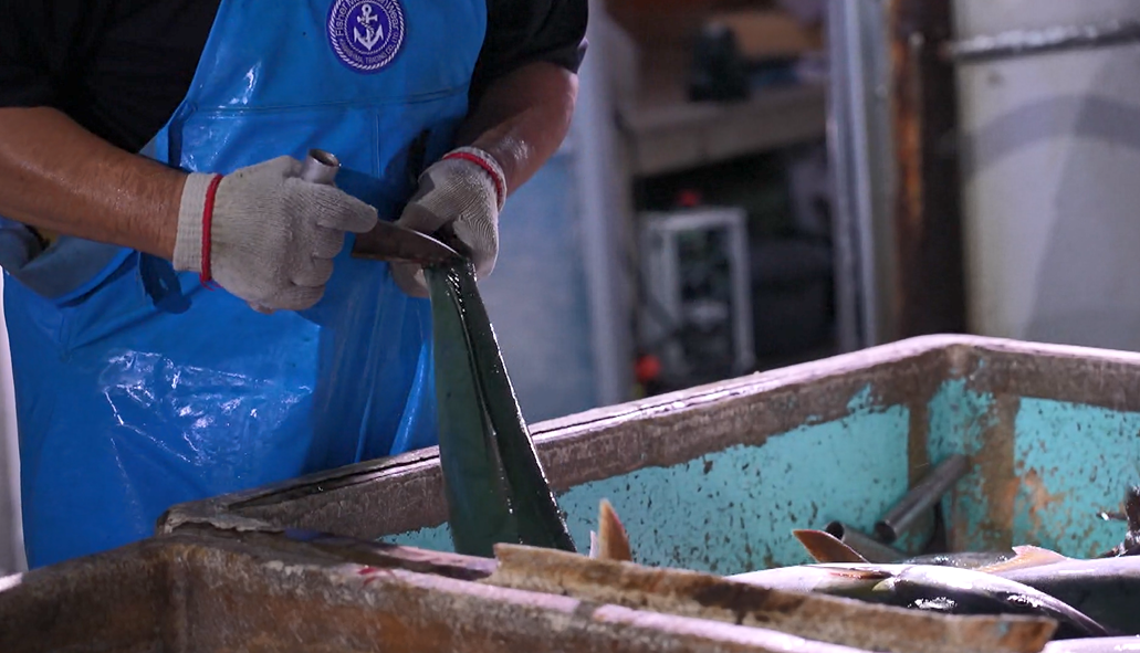 神経〆する様子