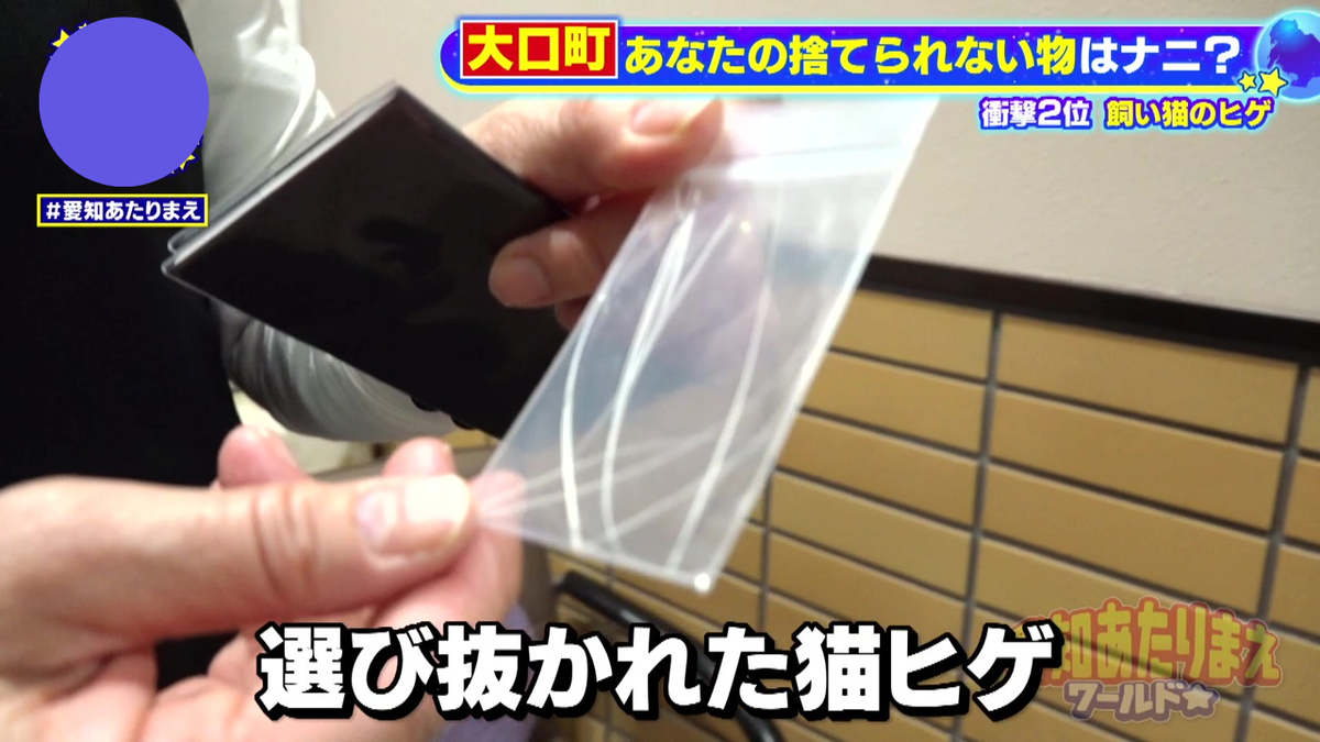 猫のヒゲが捨てられない理由とは？