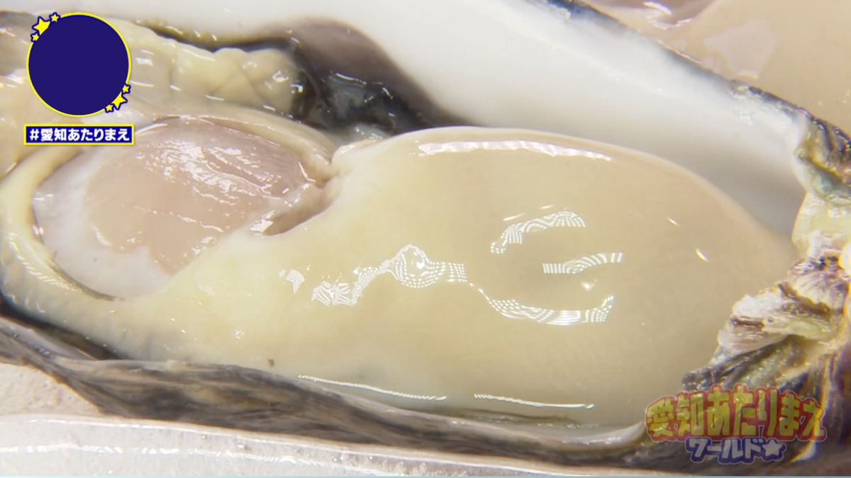 今シーズンに水揚げしたカキは最高の出来だという