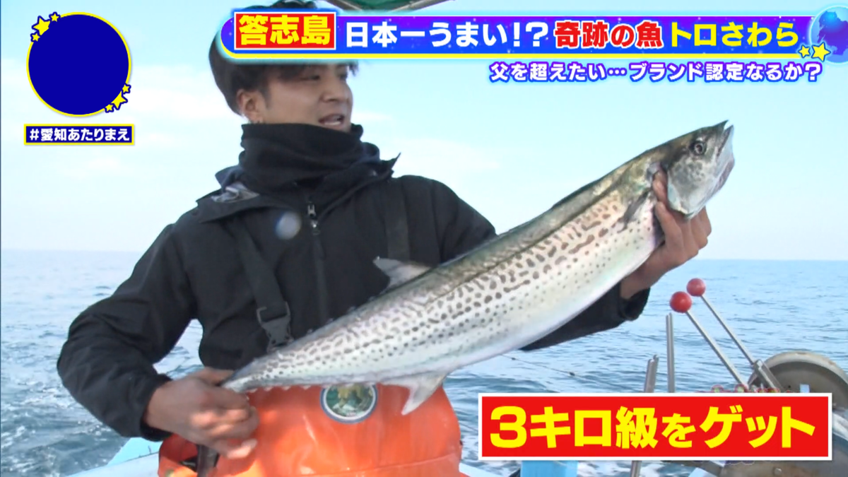 次々に、大物のサワラをゲット！果たしてトロさわらか！？