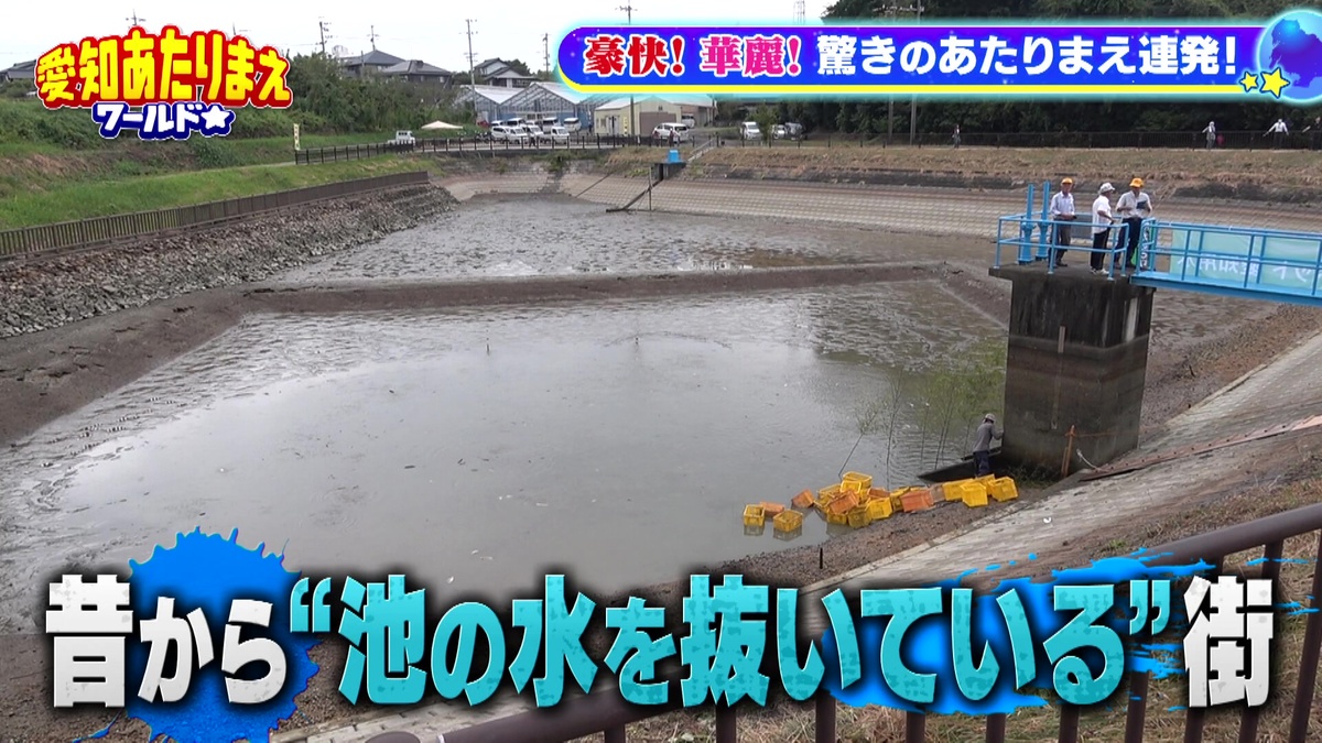 「池の水を全部抜く」行事