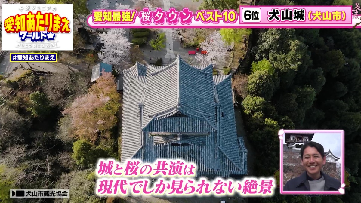 桜と城の共演は平和な現代の象徴