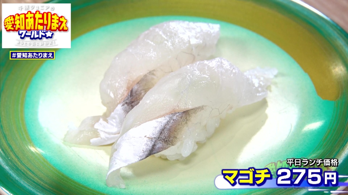 いまが旬のマゴチ