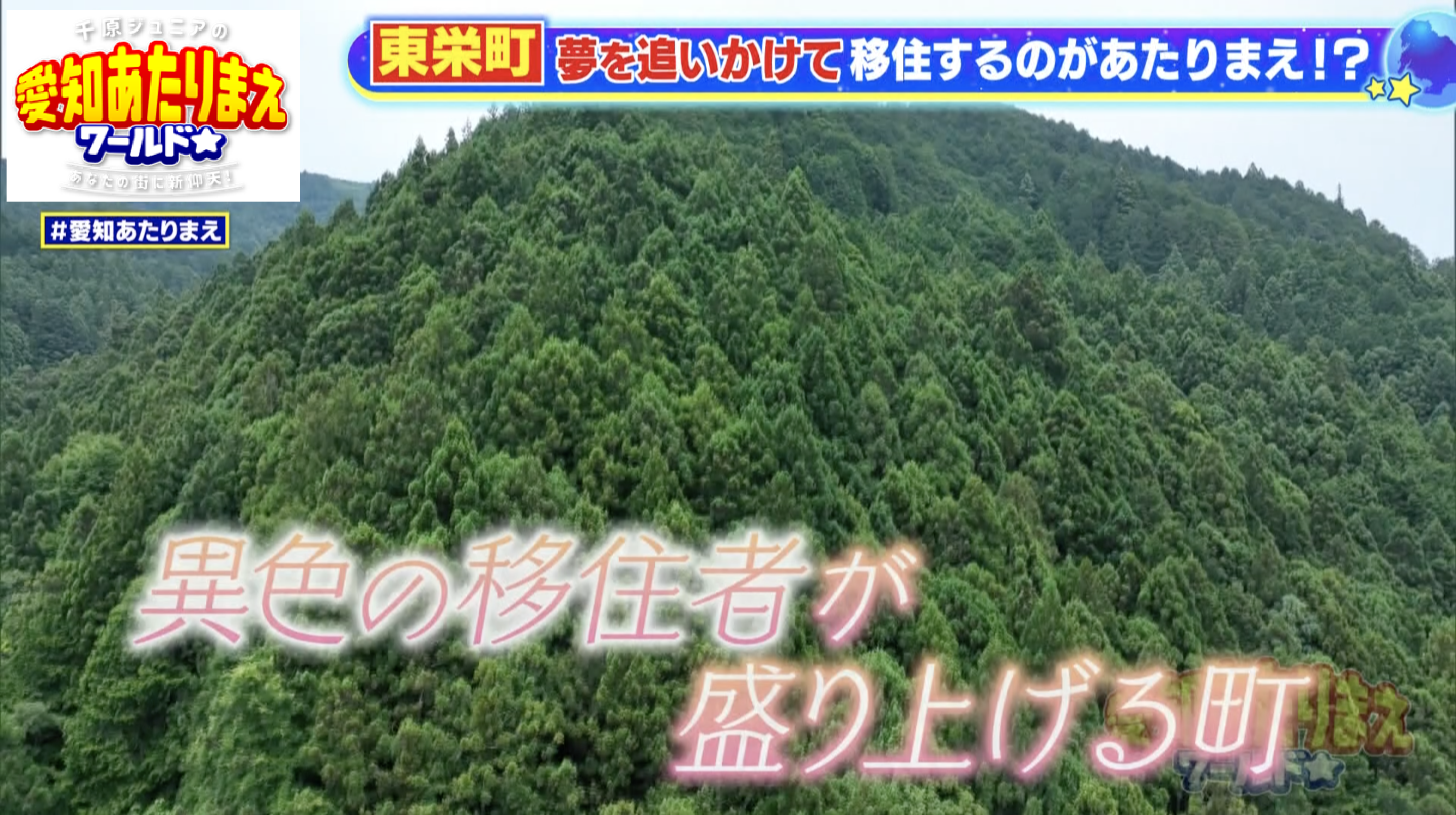 東栄町の山林の様子