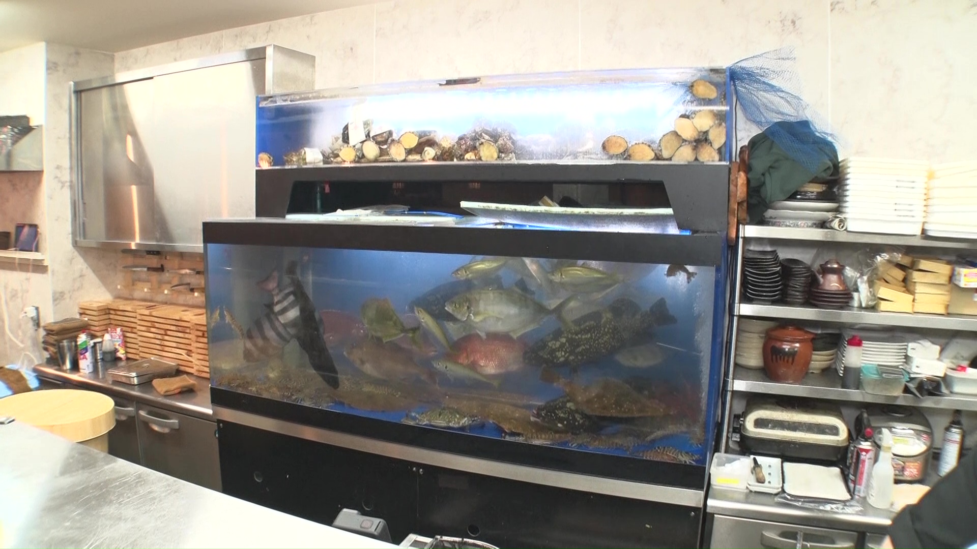 魚が泳ぐいけす