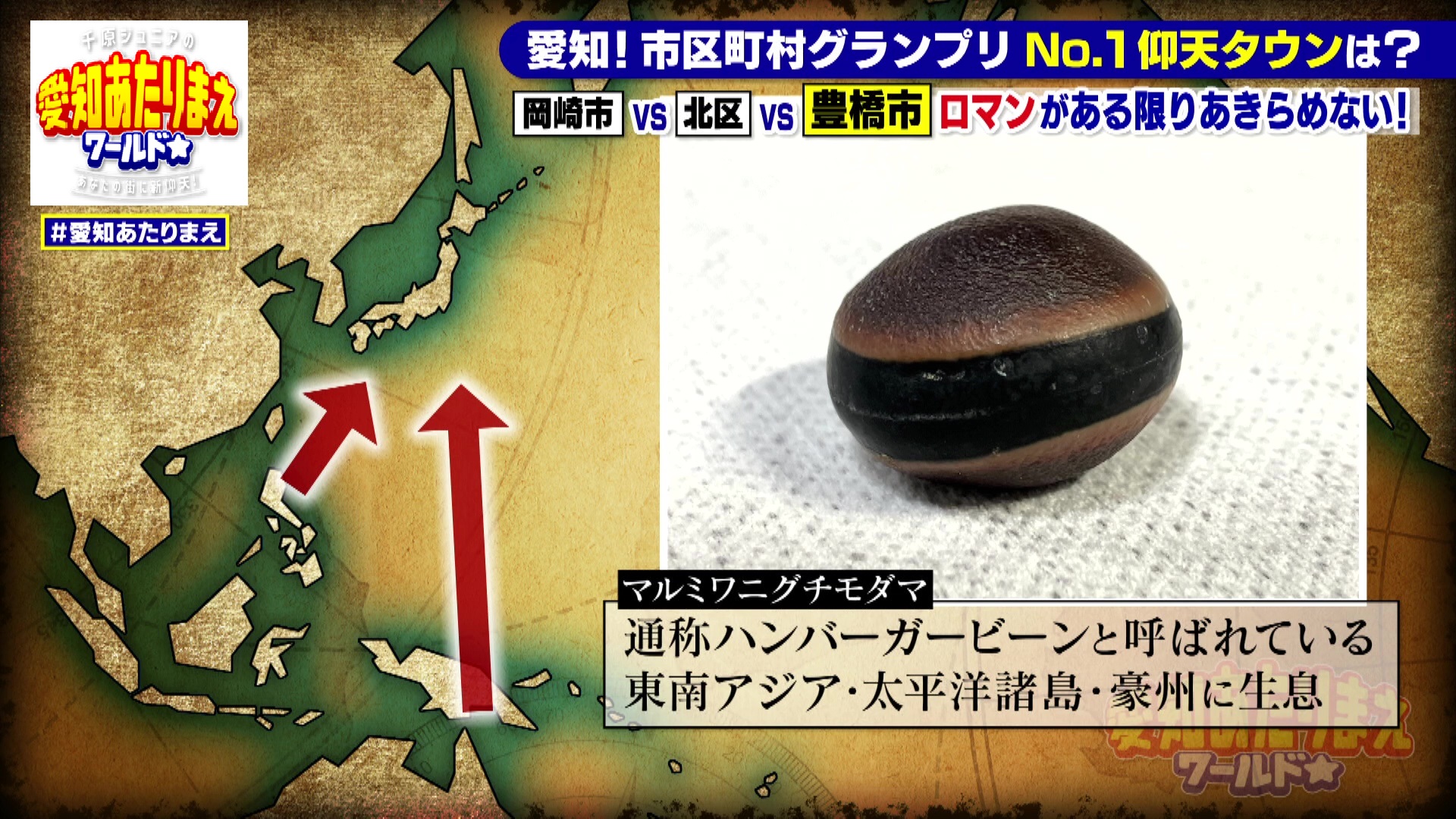 日本地図と豆の写真