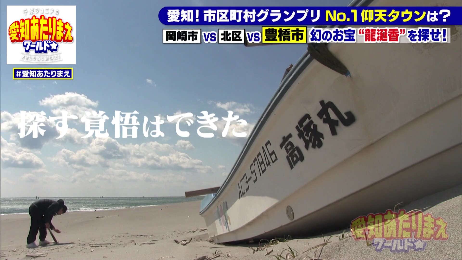 渥美半島の海岸で調査する人