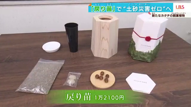 1セット1万2100円の観葉植物を買って、育てて、植林して、防災や林業に