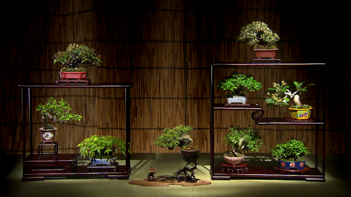 たくさん並べられる