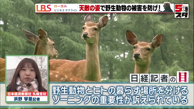 野生動物とヒトの暮らす場所を分ける「ゾーニング」が重要