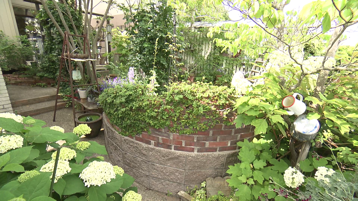 グリーンを主役にした自然豊かでナチュラルな雰囲気に