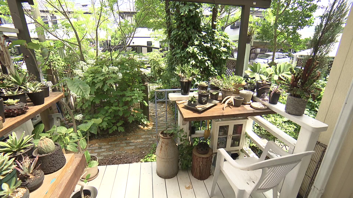 庭と植物を調和させるガーデニング