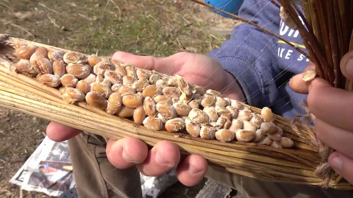 手に持った自家製納豆