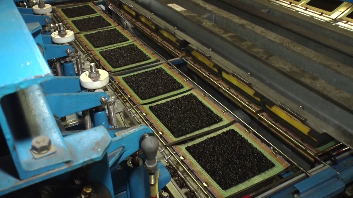 海苔の加工の真っ最中