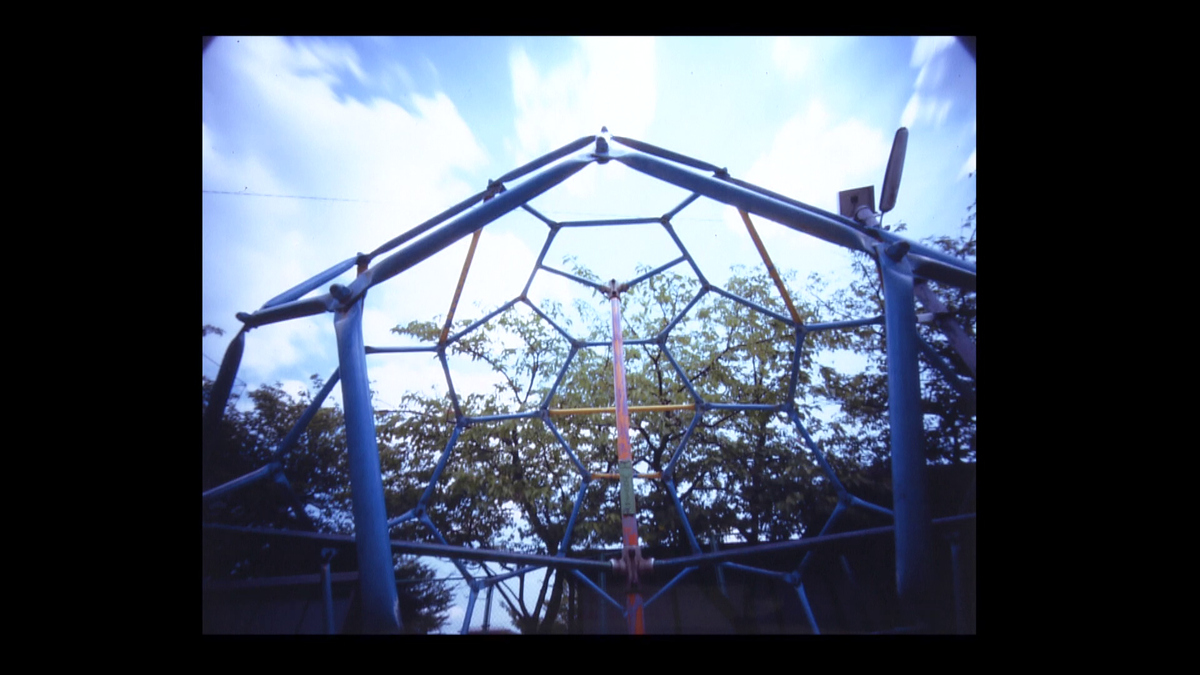 公園で撮影した写真