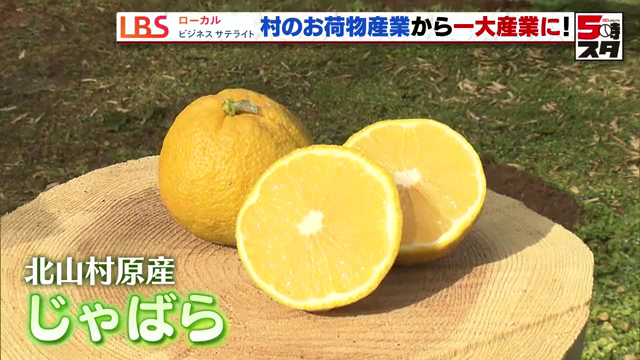 北山村原産のじゃばら