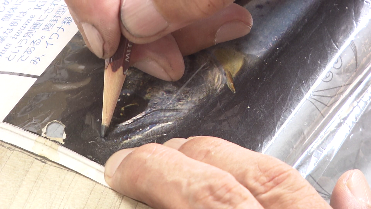 写真をなぞってアウトラインをトレース