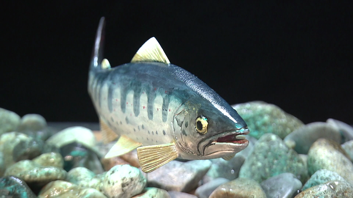 正面から見たアマゴのフィッシュカービング