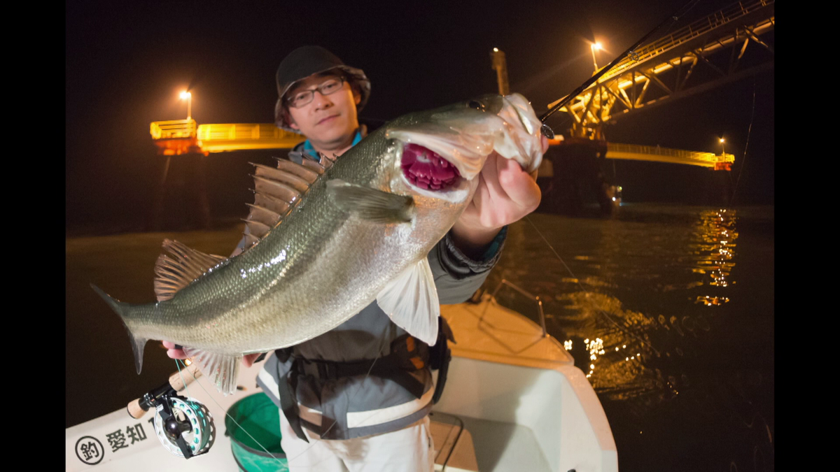 シーバス（スズキ）