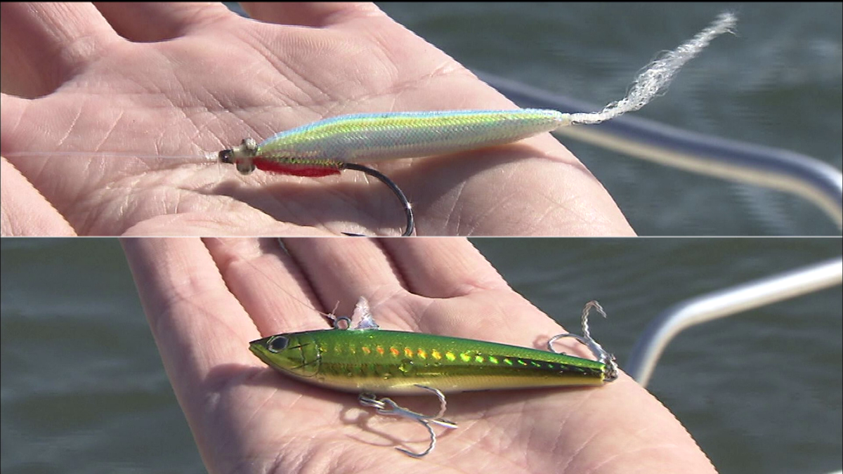 フィッシュイーター