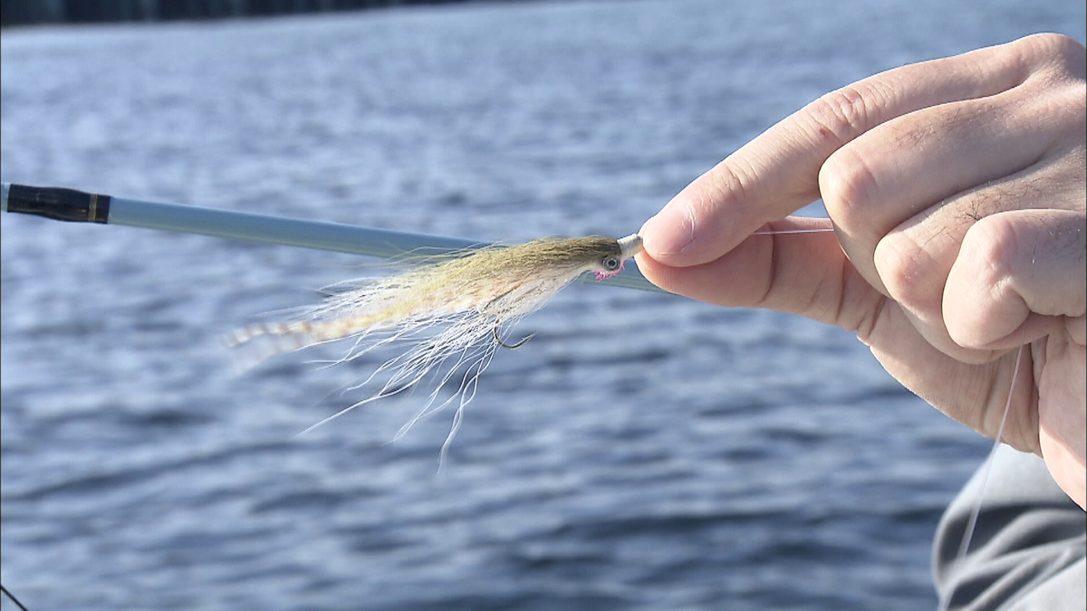 ストリーマーフライ