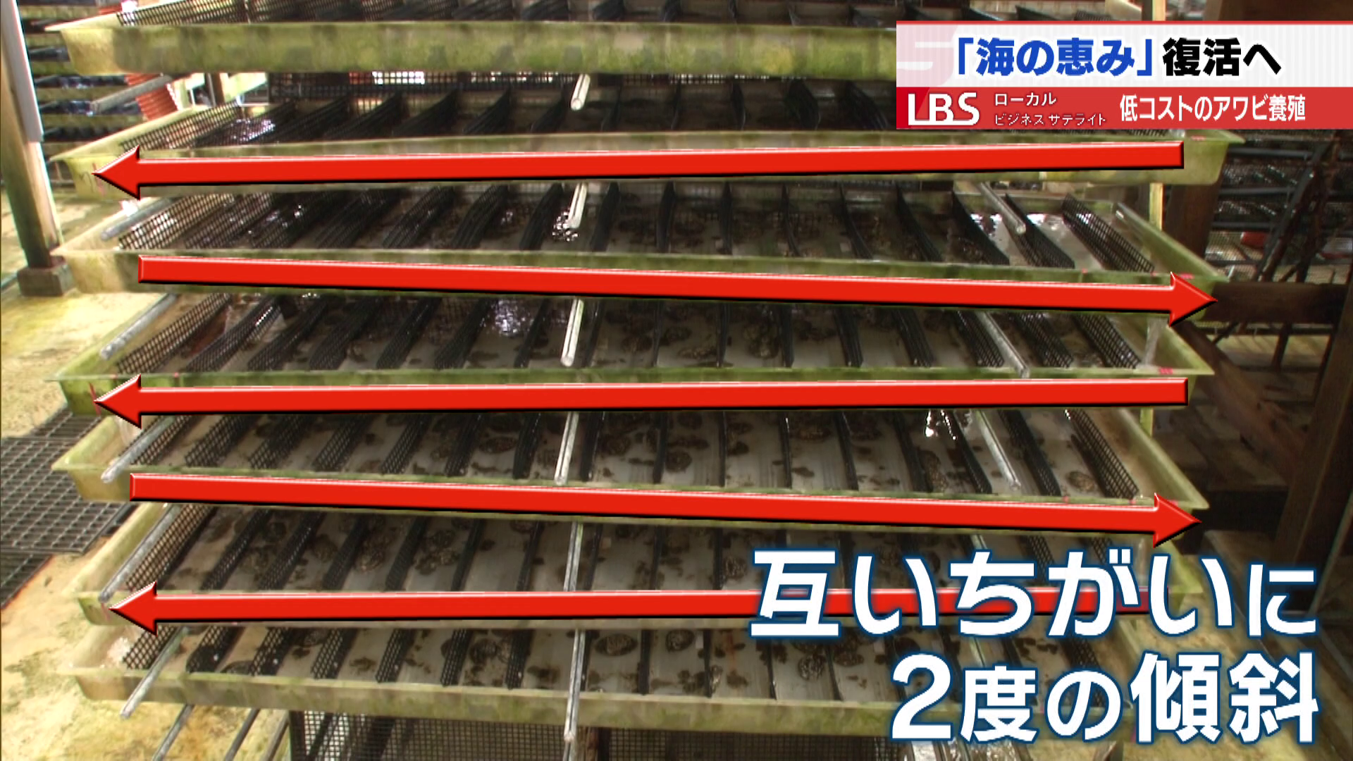互い違いに2度の傾斜をつけている