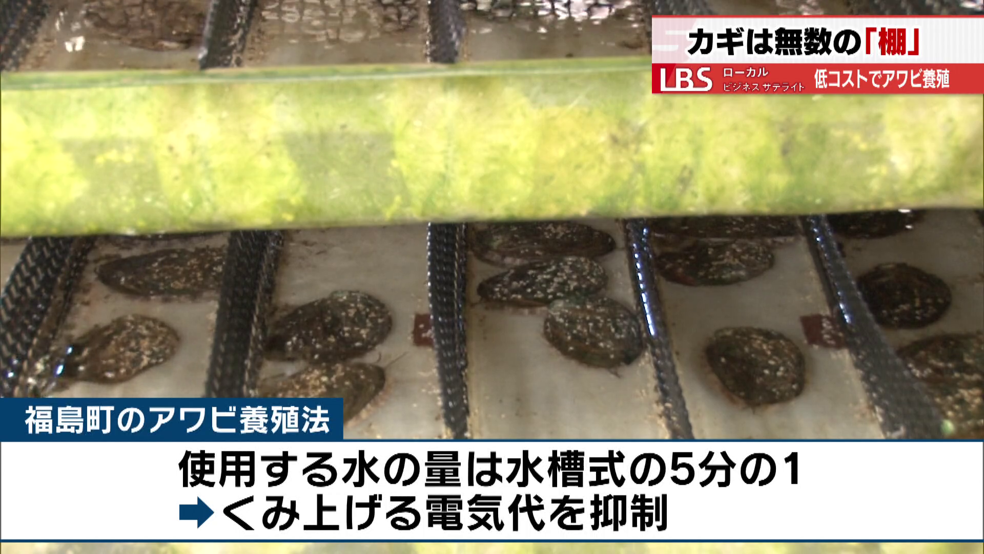 使用する水の量は水槽式の5分の1