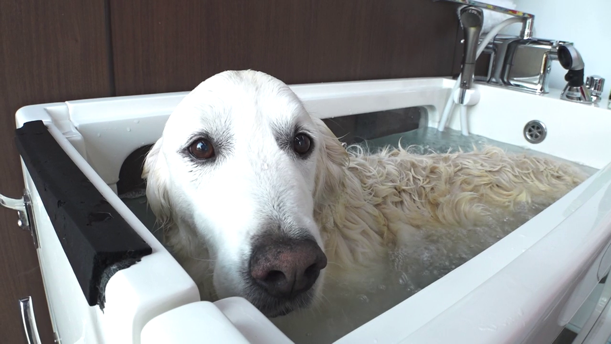 マイクロバブルのお風呂で汚れをスッキリ