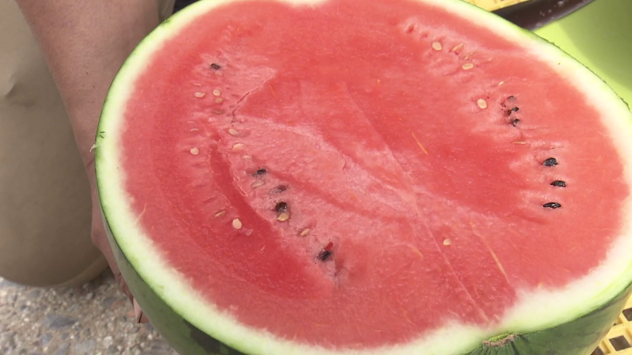 スイカ割りのスイカをアレンジ