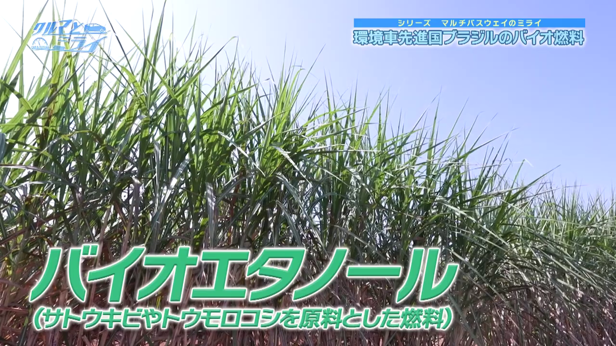 バイオエタノールのイメージ画像