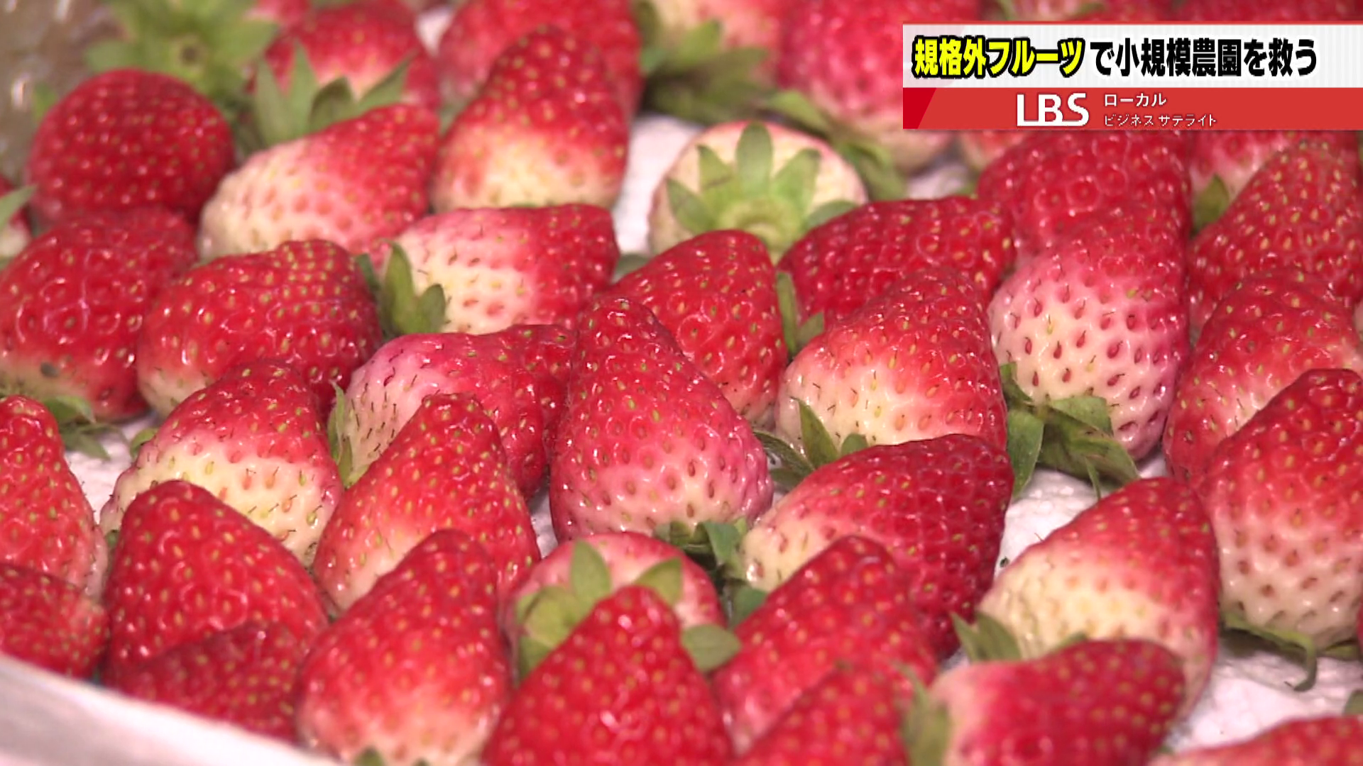 材料に規格外のイチゴを使うことで、コストを抑えられる