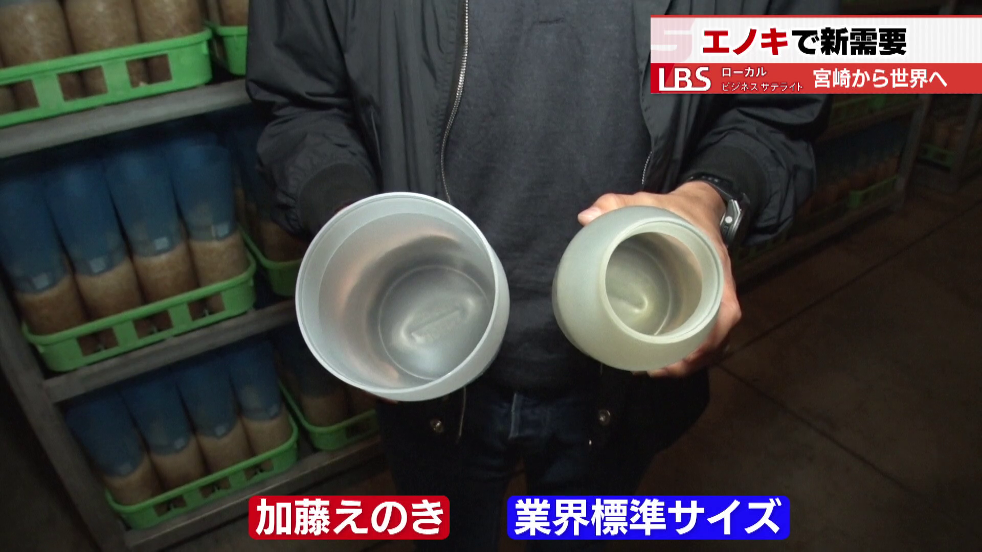 業界標準よりも大きい、加藤えのきのボトル