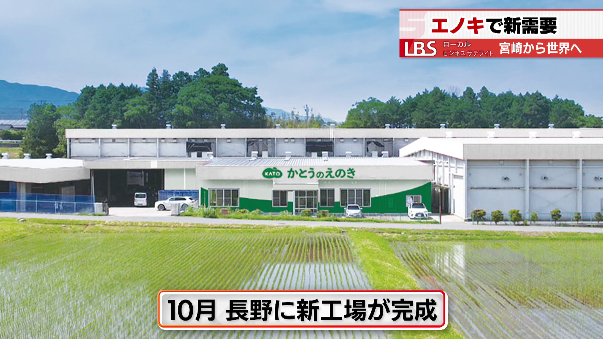 新工場を建設し、生産量を倍増させる